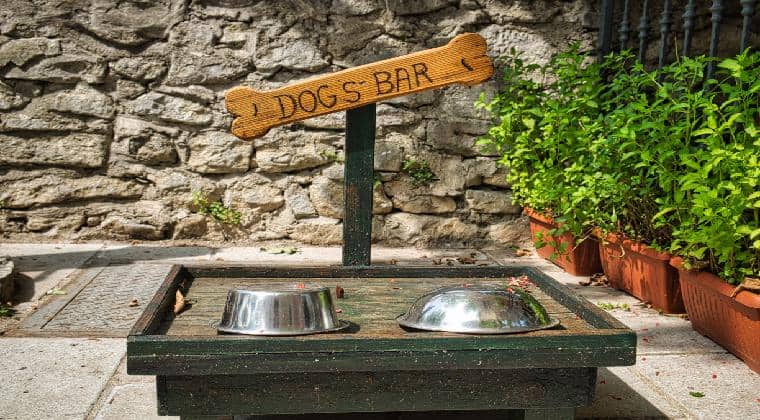 Fressnapf für Hunde