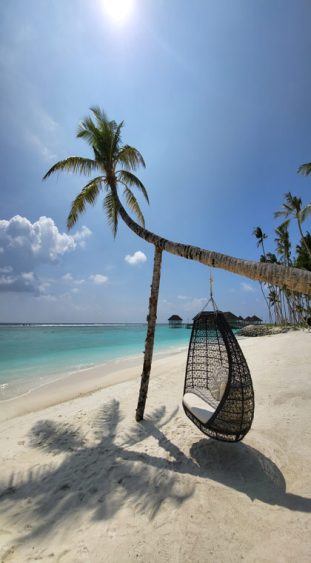 TUI BLUE Olhuveli Hängeschaukel am Meer