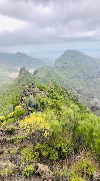 Wandern auf Teneriffa Risco Blanco Tour